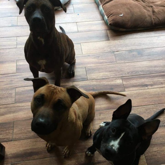 Meet your Posher, Jacqui - Picture 1 of 1